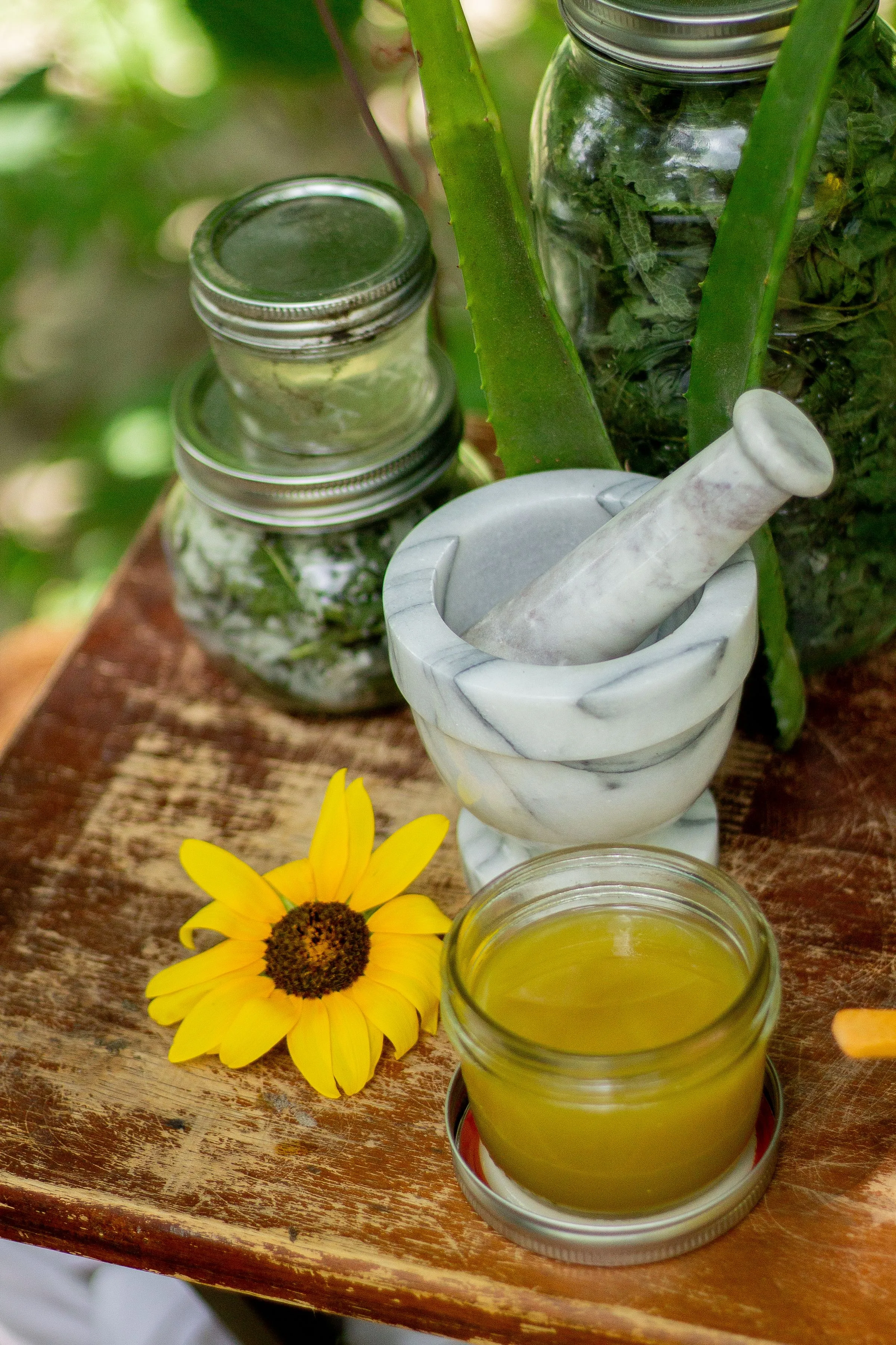 Ayurvedic Consultation — Personalised root-cause healing